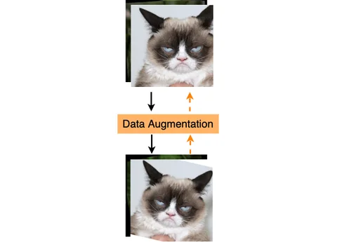 Differentiable Data Augmentation with Kornia